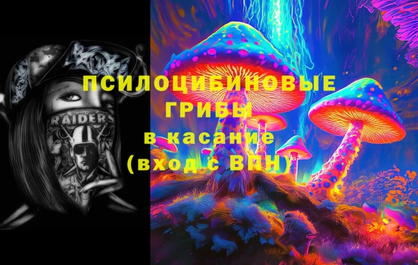 ПСИЛОЦИБИНОВЫЕ ГРИБЫ Баксан